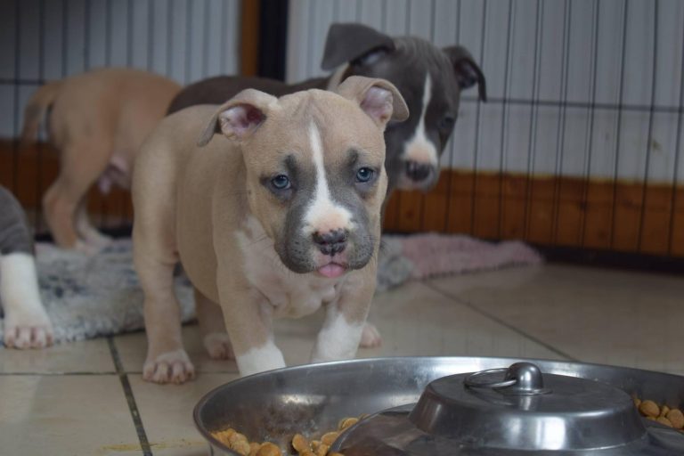 024F41BB-FB11-4E93-9ED7-C1ABEEC5F7AD