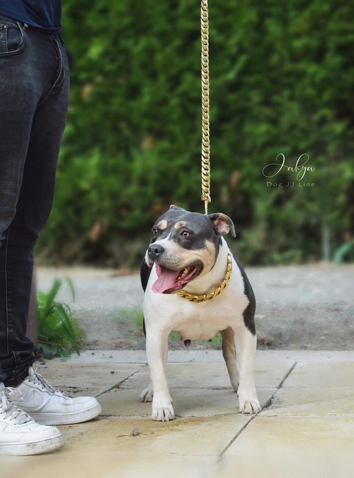 02B1D414-2CFE-4790-AFAB-D8FC7BDB2AEA