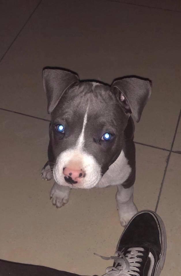 0B0521D2-93F7-4475-9CA8-500B9E57A8A2