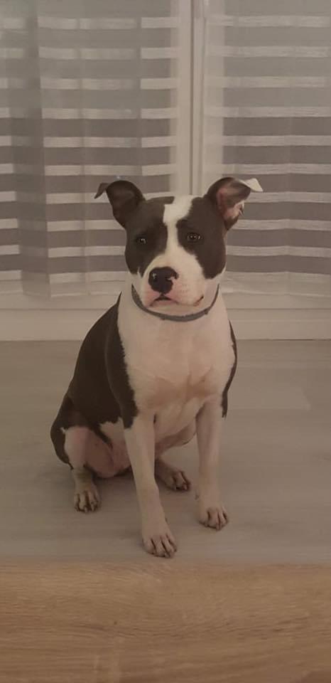 162D43B6-0DAB-4ABB-9995-3D899650D088