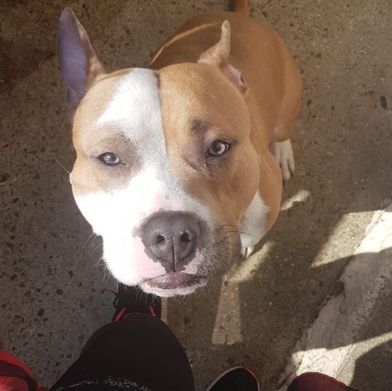 17EF1B20-EBAC-4F28-B4D1-0492853DED5A