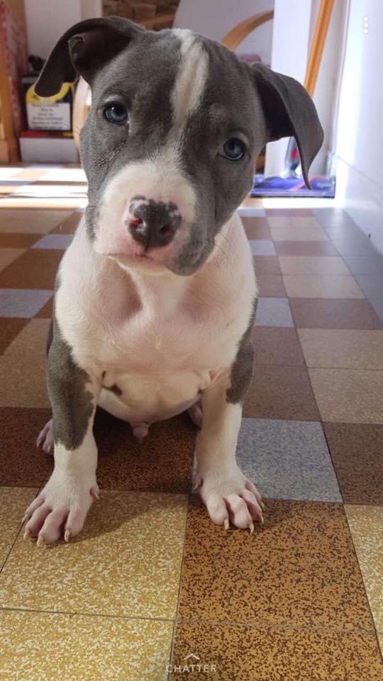 18BD7AD4-6F65-4BDD-BE45-A065318B6E23