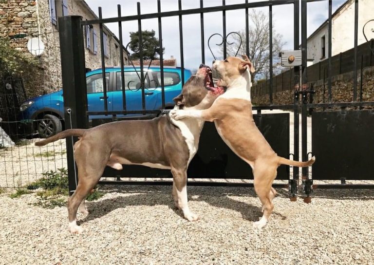 21C745B8-CF7E-4B2B-BDC0-8311301C8AAE