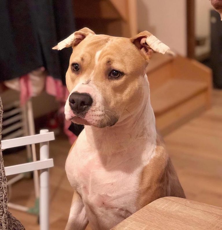 2593B281-2AC1-4B5C-BA52-726D72167AA2