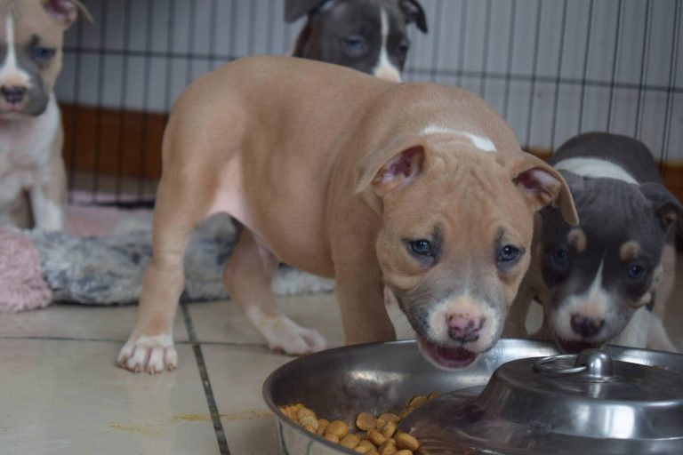 3005CE25-748A-45F8-90E8-4551E0A958CB