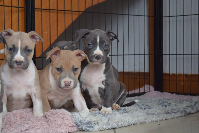 30F780A2-C80E-45AD-8DC4-C822A53B1669