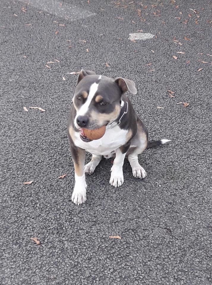 32577C32-6F2C-4920-B94D-B877BE7903DC