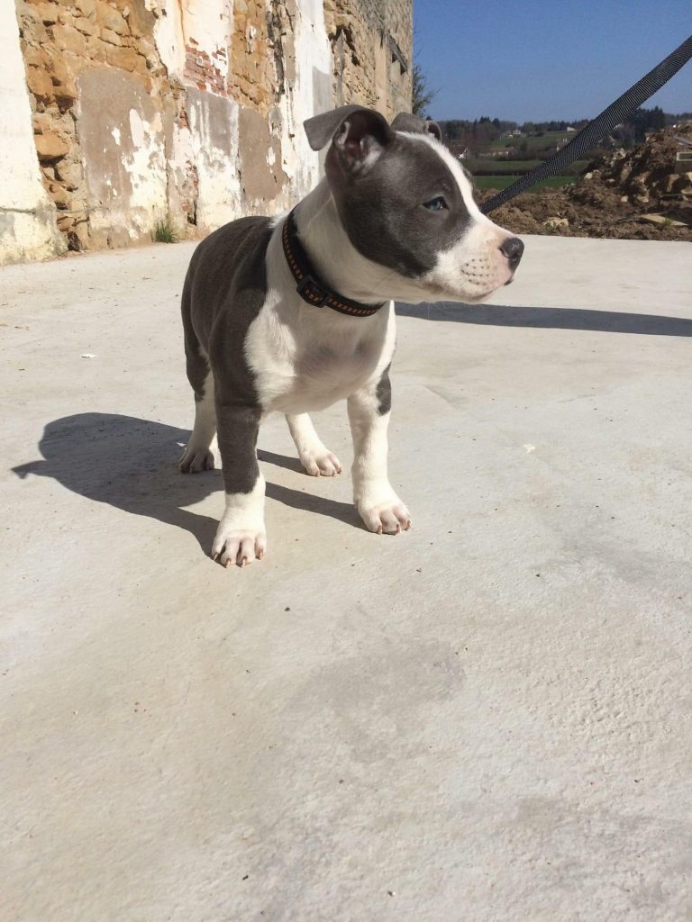 374F7AA5-89AB-45EF-B95B-8F44C9D5B000