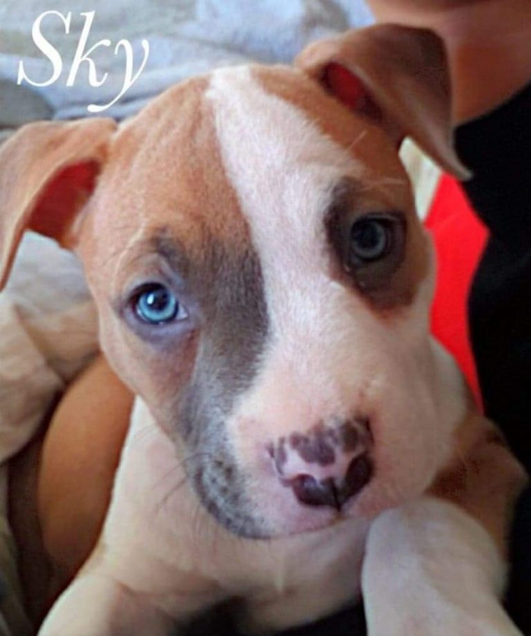 392AD722-333A-4A8F-8F6D-9F93992030D2