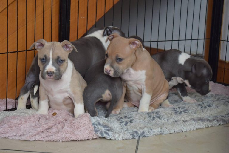 394F9898-BB8E-43AF-9E31-36F927D0CD85