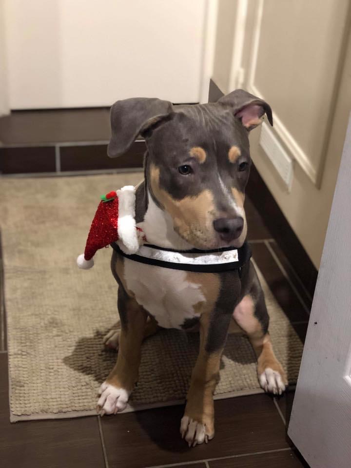 39FD4C76-C145-4B80-885A-39A1AFAF02D9