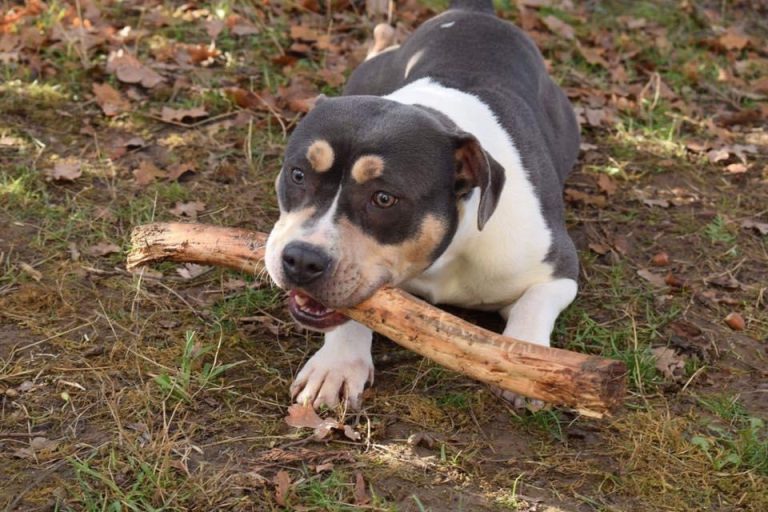 3D41642A-D82D-4F02-9EC9-F871517C9801