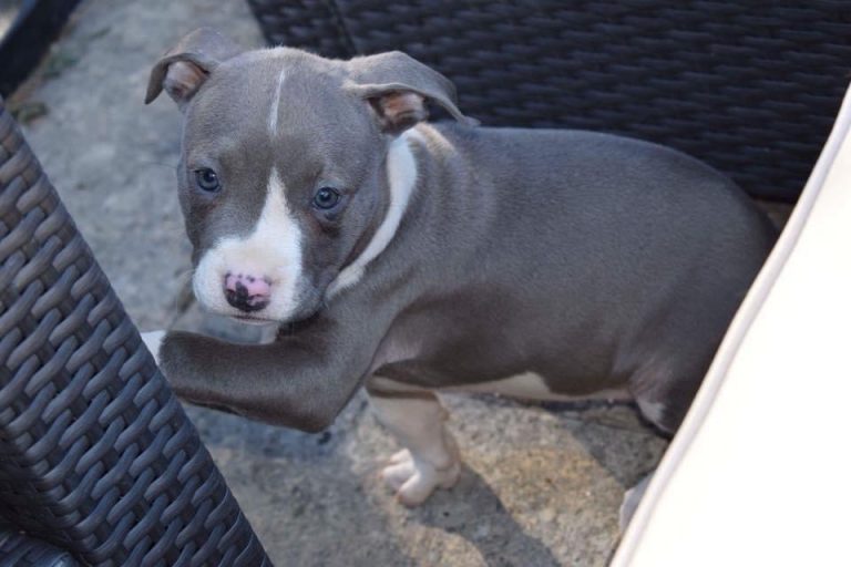 3D8F6538-86B2-4A34-8AD3-F23534C90572