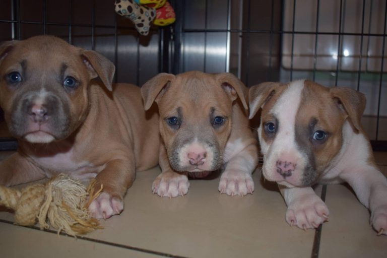 4E13EC5E-35E9-43B1-9513-9236AD9B5ADA