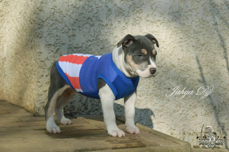 56C1AF32-4445-4026-B405-5FA76C0E430D