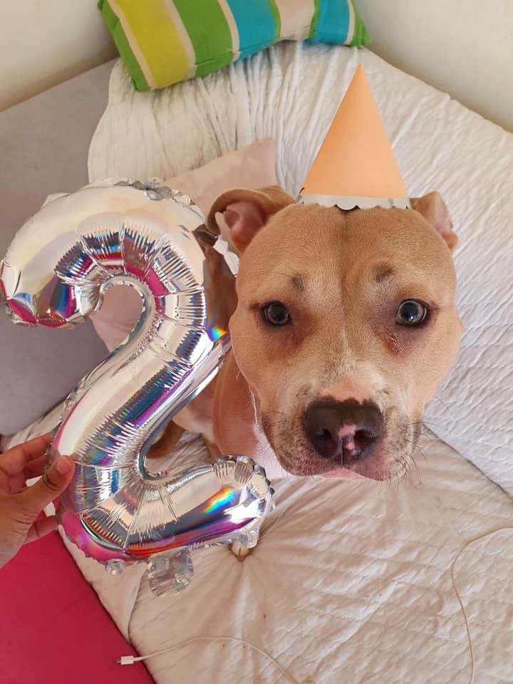 5AAC0981-FC90-4401-8E68-38653173F03D