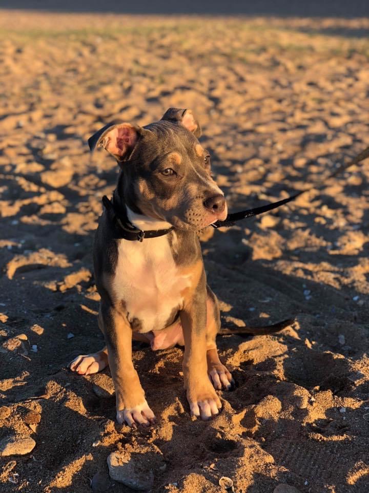 5C372DB9-9383-425A-A034-A051A4599706