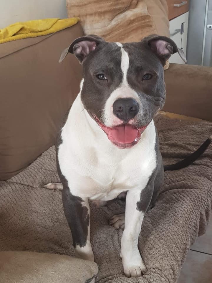 5EBE09A5-D6A0-44F2-8511-5D1E3F4F77A7