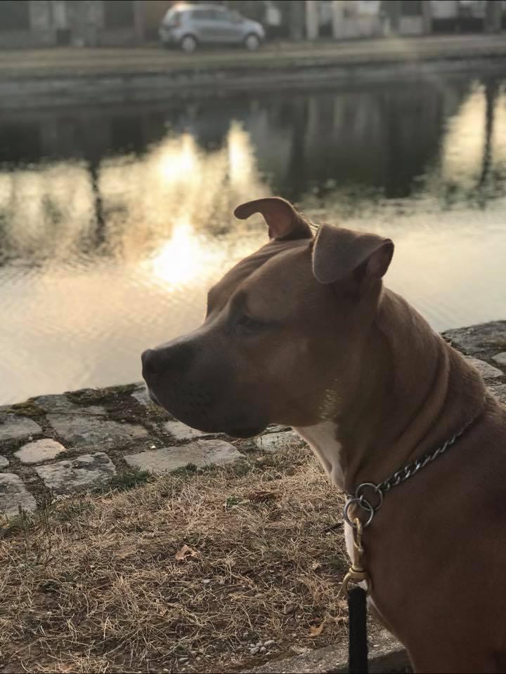 613B1866-ACB1-4732-94F6-379F1BA19A2B