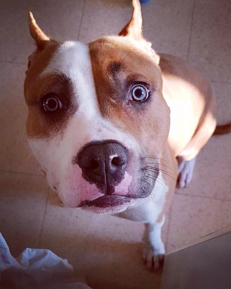 62BB44FE-78F6-47C4-9BDE-A96EC0C50AF2