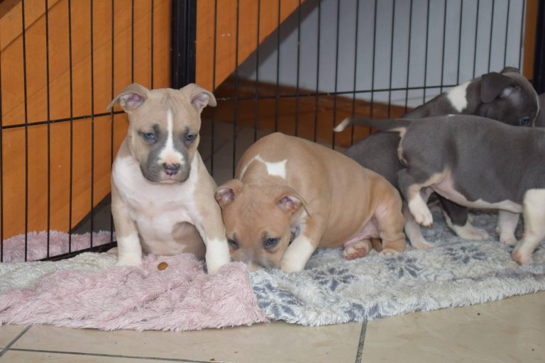 6C5D3E32-3CEE-421A-A555-DB5D16F85789