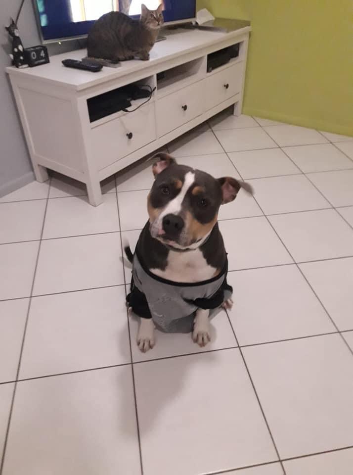 6F726510-1726-4EE5-B655-AE74111C2302