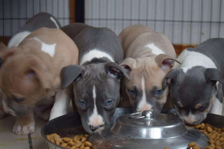 72DC6824-E93A-4739-8894-F49EAFB2D37A