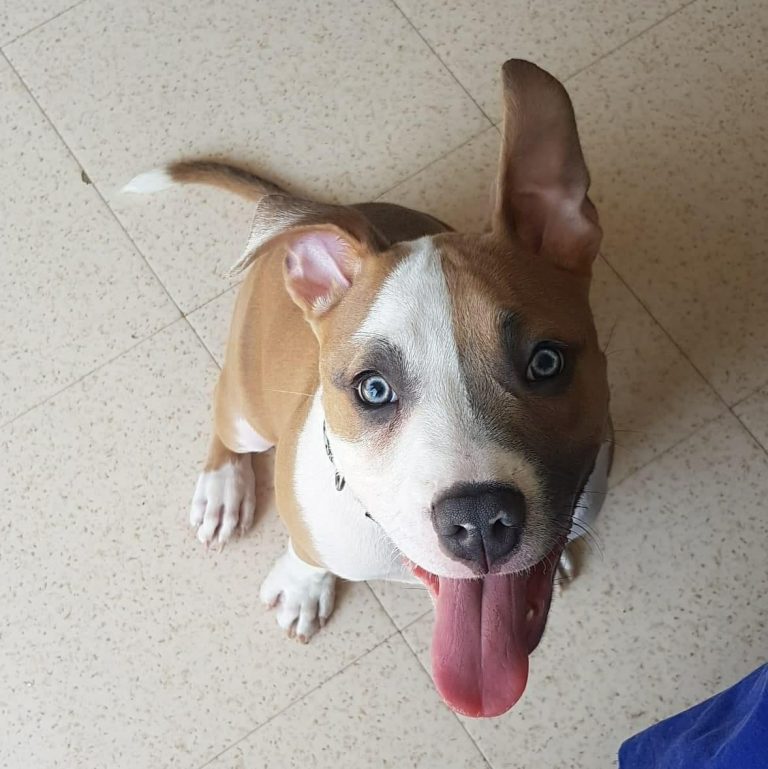 735AA5EB-D606-4748-9BAA-A21665584965