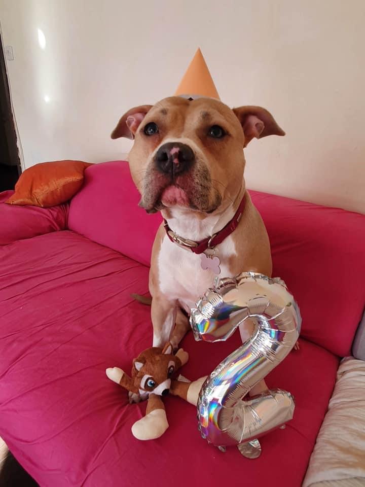 746292AE-1DE6-4BAD-ADA8-285CC826DCEA