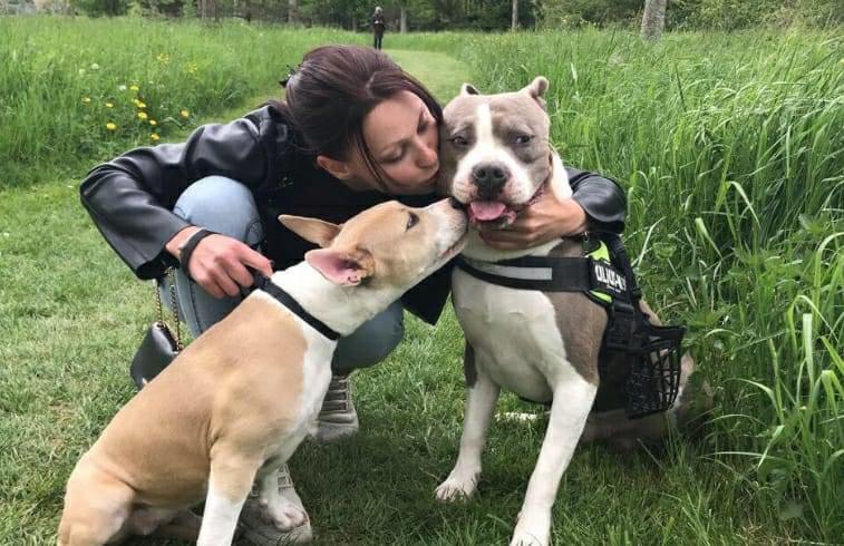 75704551-08D6-4CD7-BE85-02FBF43B5591