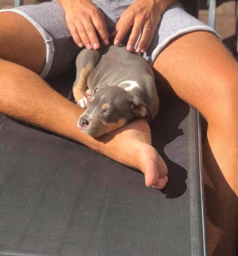 78E659DE-73B6-4134-AC46-7BC62F9C75F0