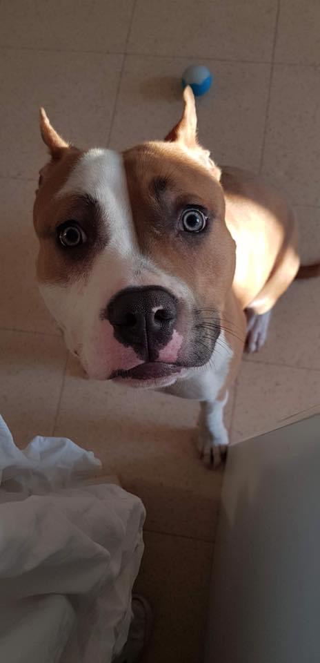 7B7B1A3F-9580-4A71-B75C-F9AD0563E1EE