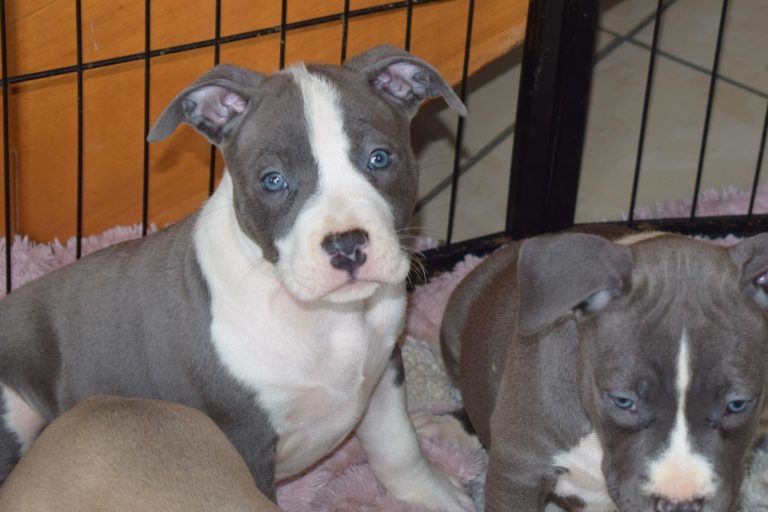 7E14FD64-8878-43BD-B04D-2D77D52EF87C