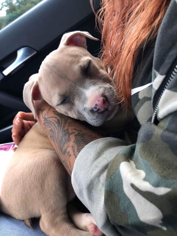 7F1DDDDD-6533-4E29-8C81-5F2CD535A13E