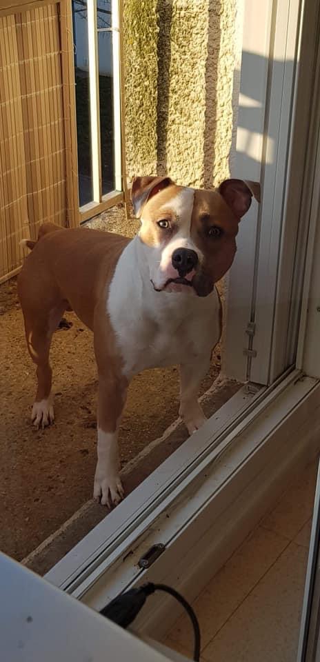 7F8A1800-663D-4915-8CBE-A7FE36B9F0DB