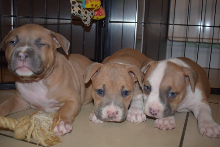 7FE37F28-37A8-439D-B52D-2BB4BDC0FE42