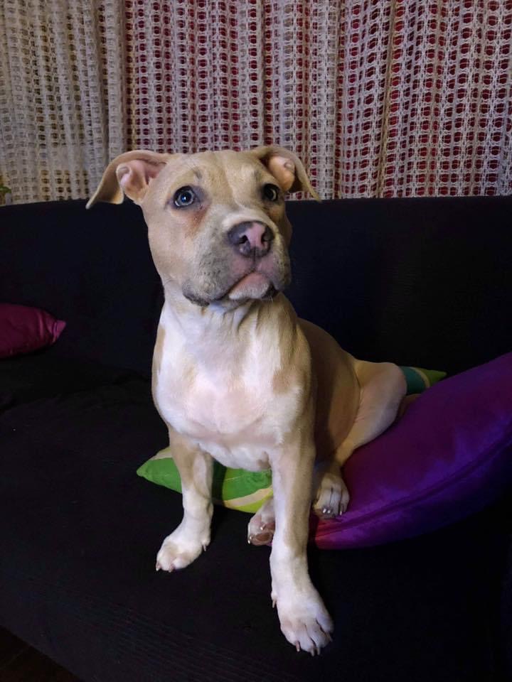 80508E1C-2812-46D3-9E52-9DB7E87E7583