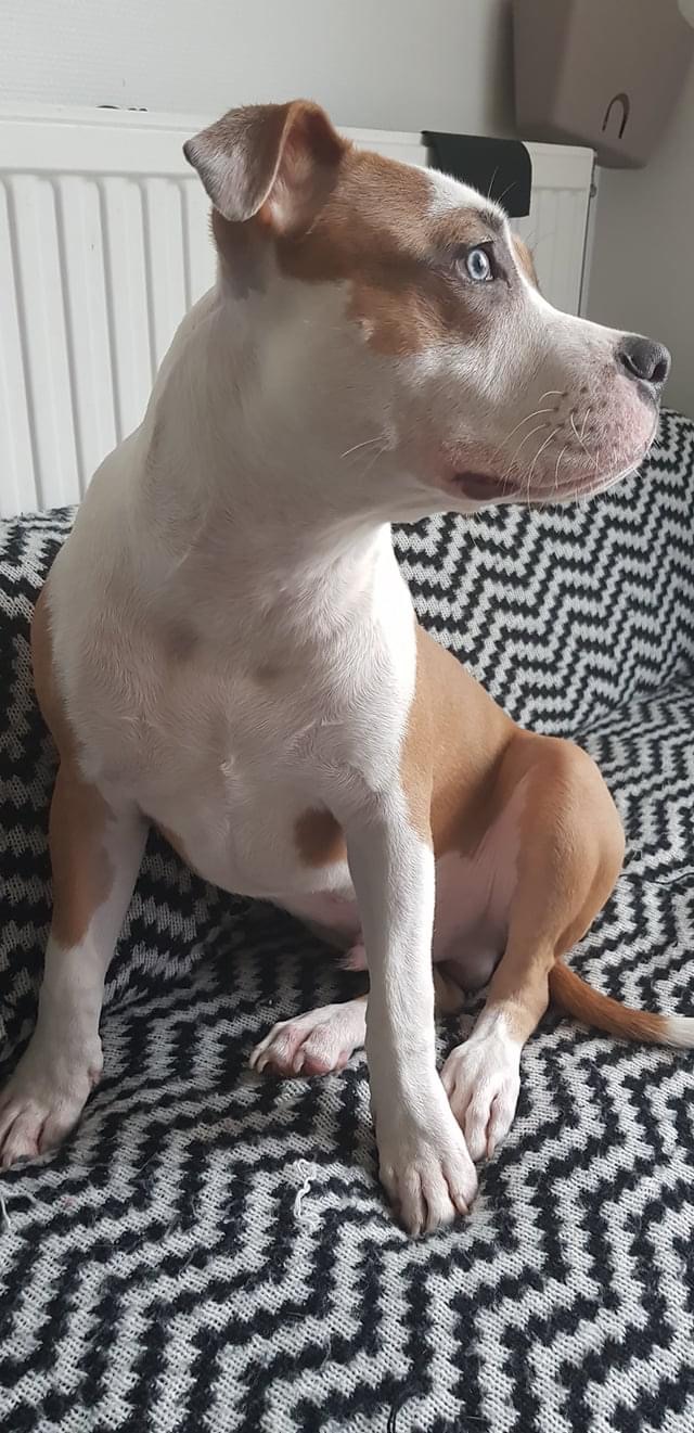 87011178-4F8D-4858-ADC9-A303E9237EA3