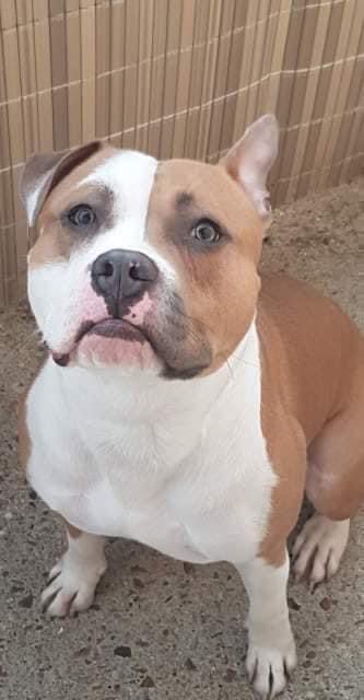 88F1244B-9A2C-4505-9480-6260A7FC942A