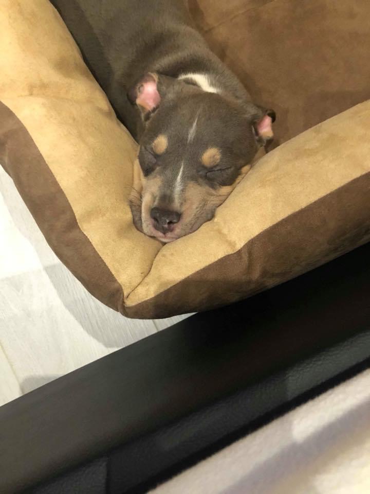 8A2222F5-4F5A-48D5-9709-DC67AFBA2DC2