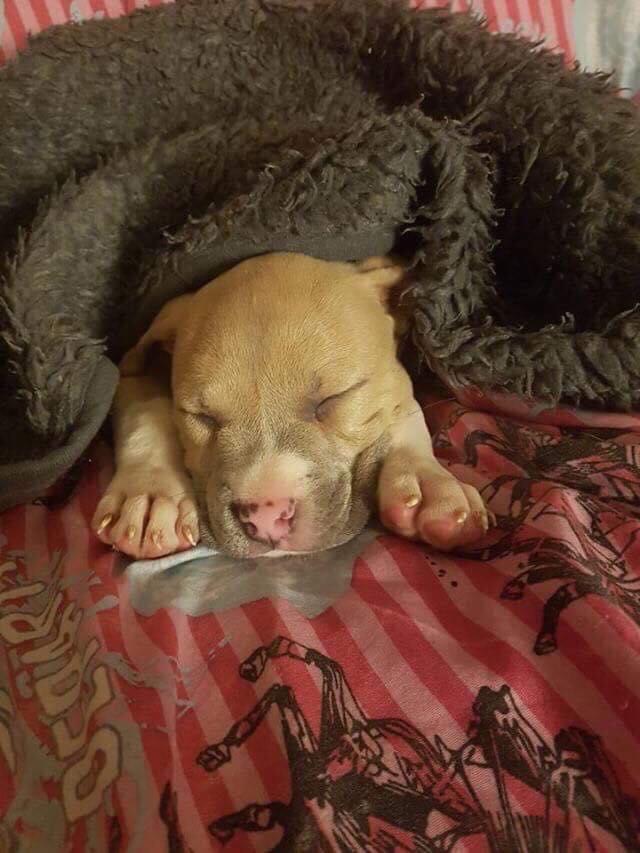 8A778F20-86BC-4ED5-B1AC-CF3A6970C888