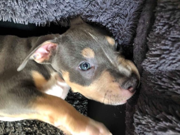 8C6B8D7F-57EA-4E3F-99AD-50041ADB3841