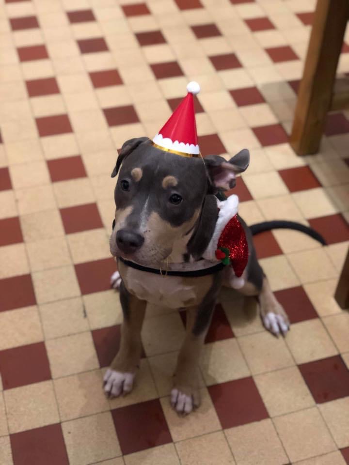 93F8FAC0-2BD2-4187-B35D-810E1B452431