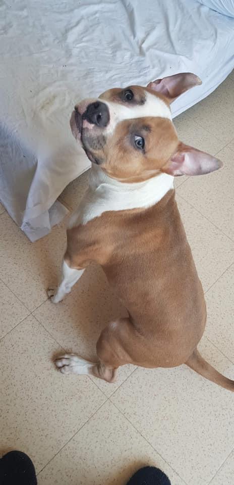 96C62BCF-F8BD-4237-893D-639342BEAEBB