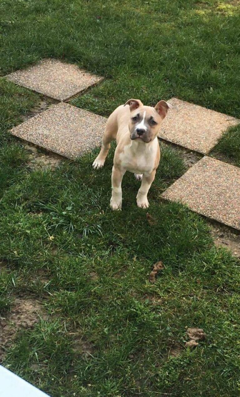 9880F363-585B-4F13-9095-DE99AE8829C2