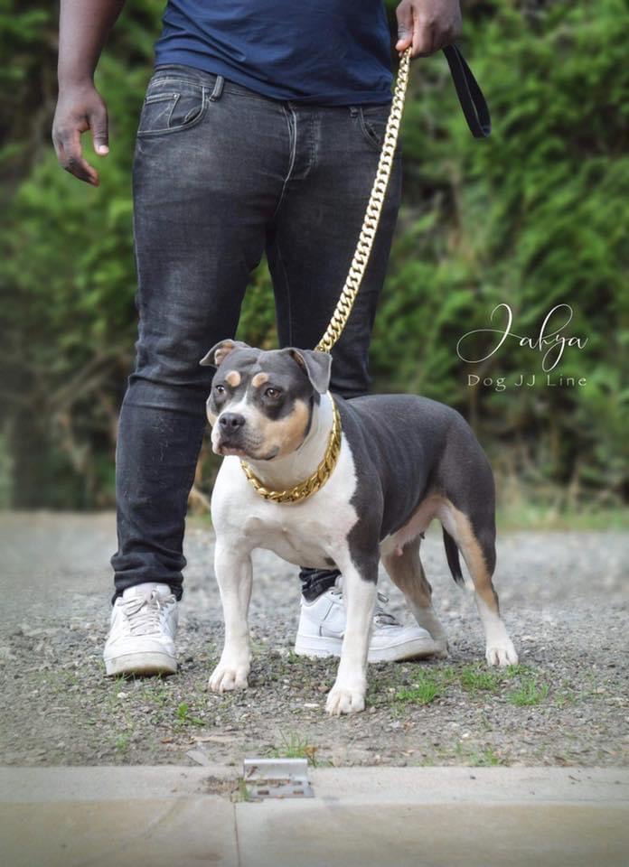 9D34B379-95E6-4595-8914-33518A80FFA6