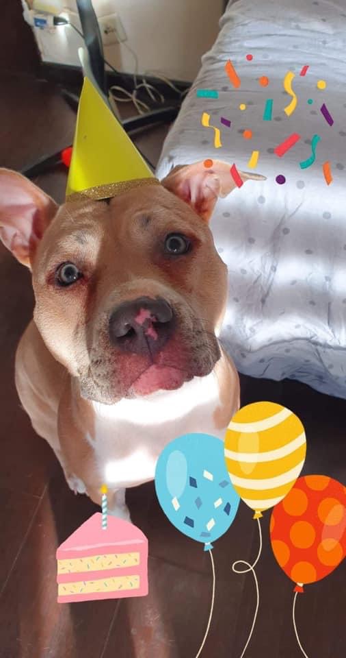 9E8E2037-905A-4346-8657-52B21C73F80F