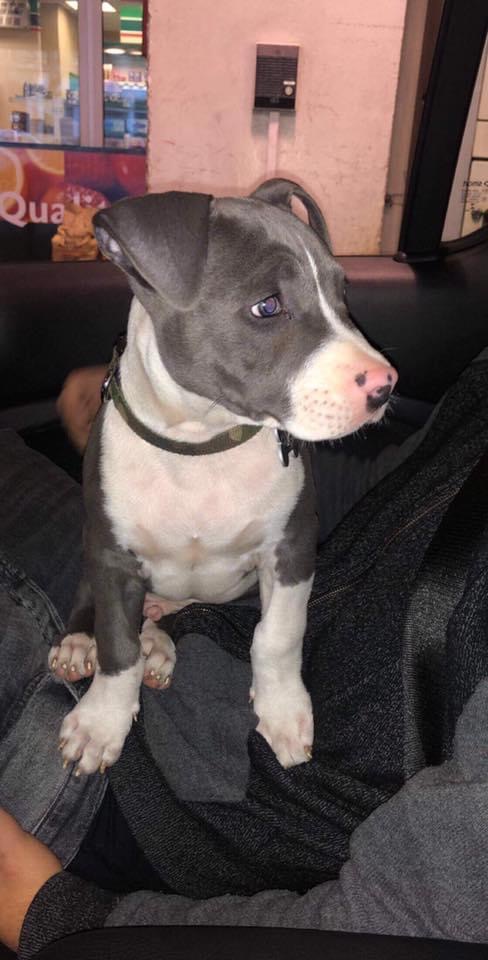 A0089093-C4E7-4029-84C9-71238F5A921C