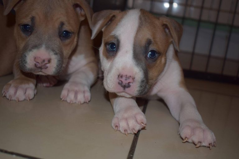 A0B51F4D-DBE2-4693-90A2-B88FDADD6D41