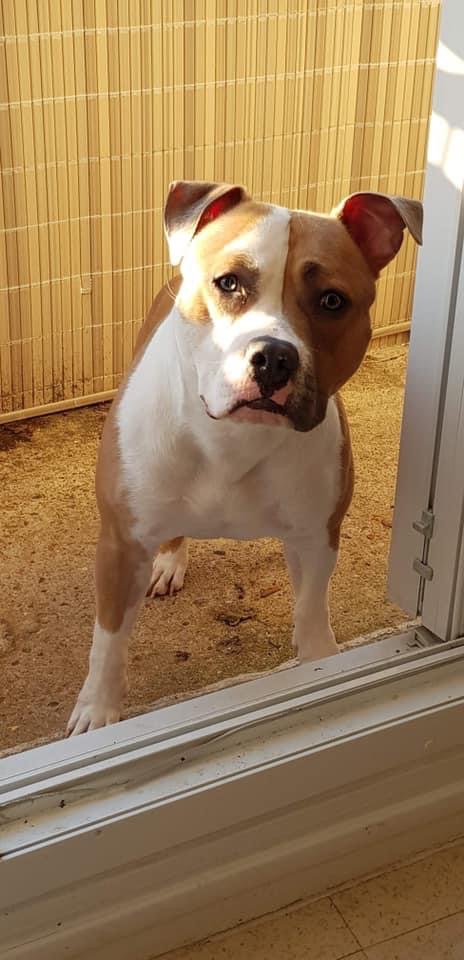 A49E241D-45A8-4053-8EF4-9A82B8AC5E2B